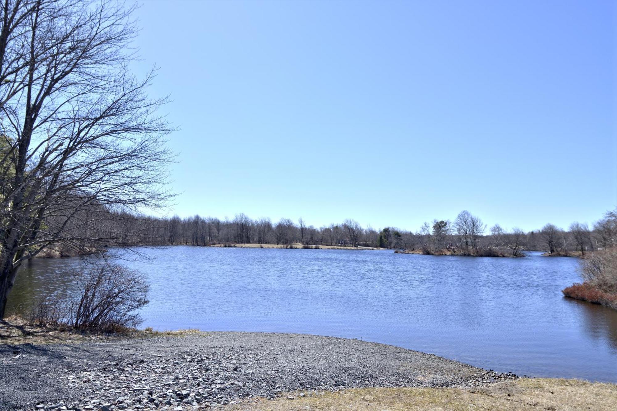 Long Pond Lakehouse *Hottub*Jacuzzi*Firepit*Bbq*Pool מראה חיצוני תמונה